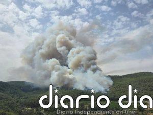 El grueso del incendio declarado en Aiguamúrcia (Tarragona) se traslada a Querol y Pontons