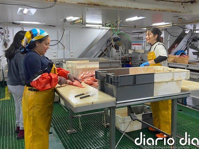 El IEO evalúa recursos pesqueros en el Banco de Flemish Cap en Terranova