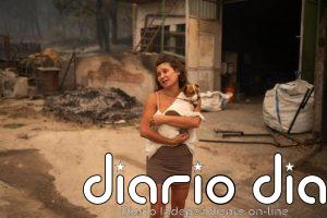 El incendio de Ávila evoluciona de forma "relativamente favorable" con zonas más activas en Mijares y Casillas