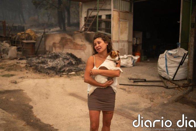 El incendio de Ávila evoluciona de forma "relativamente favorable" con zonas más activas en Mijares y Casillas