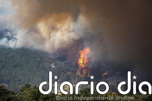 El incendio de Ávila obliga a evacuar otros siete pueblos y deja 13.750 afectados tras una noche "complicada"