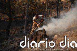 El incendio de Borgohondo (Ávila) permanece "bastante tranquilo" con "preocupación" en el Valle de Iruelas