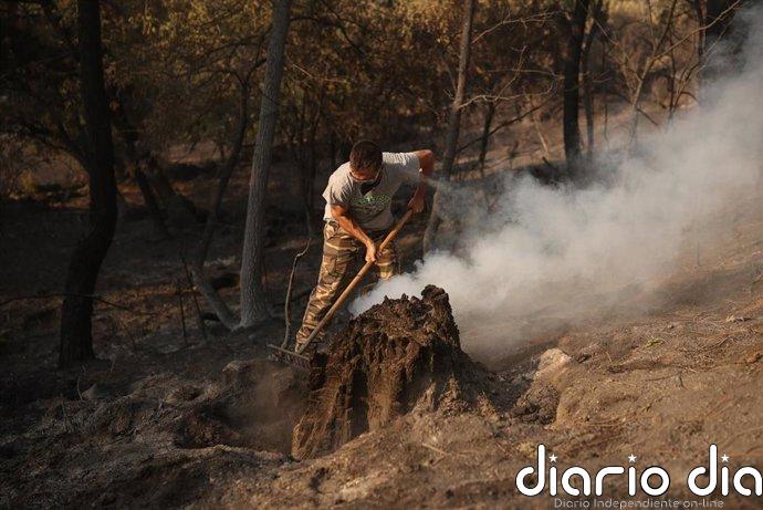 El incendio de Borgohondo (Ávila) permanece "bastante tranquilo" con "preocupación" en el Valle de Iruelas