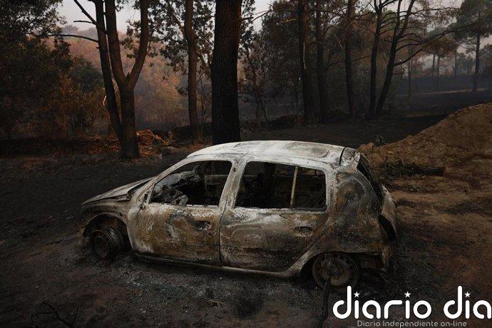 El incendio de Burgohondo (Ávila) no registra avances en el perímetro y mantiene estables sus líneas de control