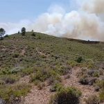 El incendio de Cañizar del Olivar (Teruel) está controlado y la superficie afectada no sube de siete hectáreas