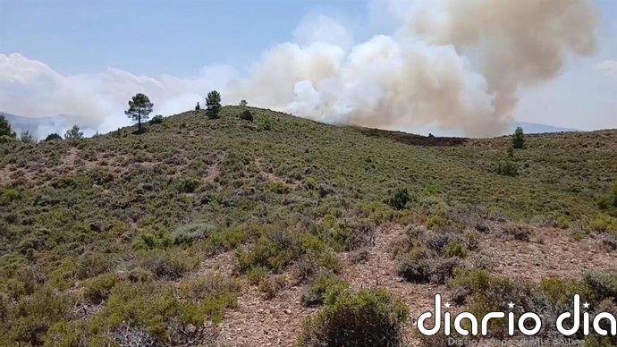 El incendio de Cañizar del Olivar (Teruel) está controlado y la superficie afectada no sube de siete hectáreas