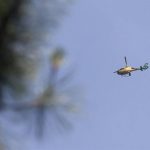 El incendio de gravedad 2 en Fermoselle (Zamora) obliga a evacuar siete pueblos y confinar el municipio