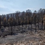 El incendio de La Mierla sigue sin estar estabilizado aún y los esfuerzos se centran en el sector noroeste