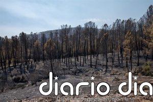 El incendio de La Mierla sigue sin estar estabilizado aún y los esfuerzos se centran en el sector noroeste