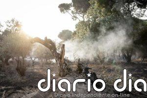 El incendio de la Sierra Oeste reduce su avance durante la noche, aunque aún no está estabilizado