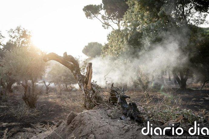 El incendio de la Sierra Oeste reduce su avance durante la noche, aunque aún no está estabilizado