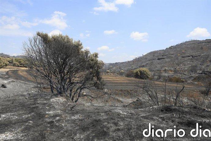 El incendio de Orés se da por estabilizado y se comenzará a preparar el regreso de las personas desalojadas