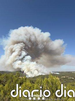 El incendio de Rubió (Barcelona) afecta a unas 47 hectáreas mayoritariamente forestales Incendio en Rubió (Barcelona)
