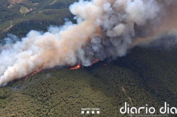 El incendio en Aiguamúrcia (Tarragona) afecta a 108 hectáreas forestales