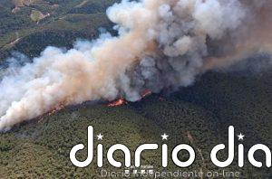 El incendio forestal en Aiguamúrcia (Tarragona) afecta a 80 hectáreas