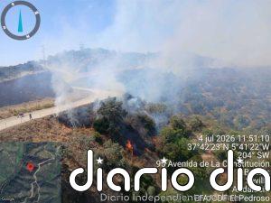 El Infoca da por controlado el incendio forestal declarado en Villanueva del Río y Minas (Sevilla)