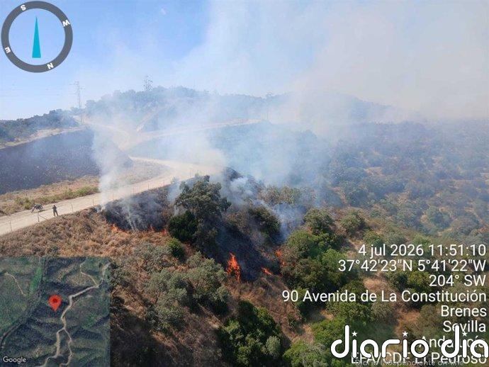 El Infoca da por controlado el incendio forestal declarado en Villanueva del Río y Minas (Sevilla)