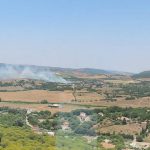 El Infoca da por extinguido el incendio declarado en el paraje Paternilla en Vejer de la Frontera (Cádiz)