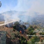 El Infoca da por extinguido el incendio forestal declarado en Villanueva del Río y Minas (Sevilla)