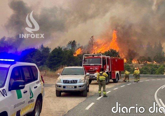 El Infoex prepara el relevo de los equipos que trabajan desde el viernes en el incendio de Burgohondo (Ávila)