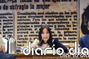 El juez interroga hoy a la directora de la Guardia Civil y al DAO como investigados en el 'caso Leire Díez'