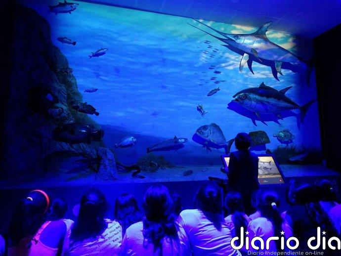 El Museu del Port de Tarragona recibe este curso escolar a cerca de 10.000 estudiantes
