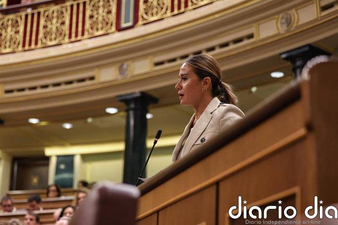 El PP acusa al Gobierno de "hipocresía" y de "cero planificación" en la regularización de migrantes