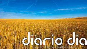 El precio mundial de los alimentos bajó un 0,3% en junio, según FAO