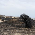 El próximo Consejo de Ministros prevé declarar zona gravemente afectada el área del incendio de Los Gallardos (Almería)