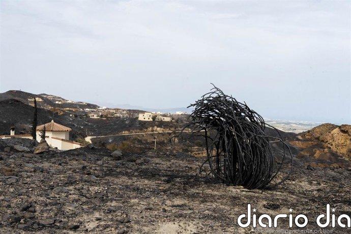 El próximo Consejo de Ministros prevé declarar zona gravemente afectada el área del incendio de Los Gallardos (Almería)
