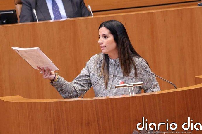 El PSCL tacha de "hipócrita" al PP por rechazar en el Congreso el blindaje de la financiación de la dependencia
