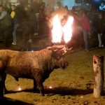 El Supremo da la razón a la Junta y cierra el procedimiento judicial sobre el Toro Jubilo de Medinaceli de 2023