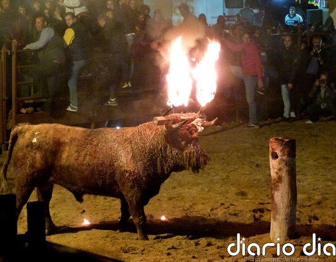 El Supremo da la razón a la Junta y cierra el procedimiento judicial sobre el Toro Jubilo de Medinaceli de 2023