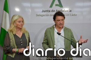 Empleo ofrece cinco cursos gratuitos en Cádiz de Inteligencia Artificial, Realidad Virtual e Internet de las Cosas