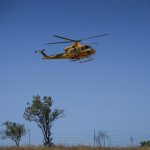 Estabilizado el incendio forestal en el paraje Camino de Tresmal de Moguer (Huelva)
