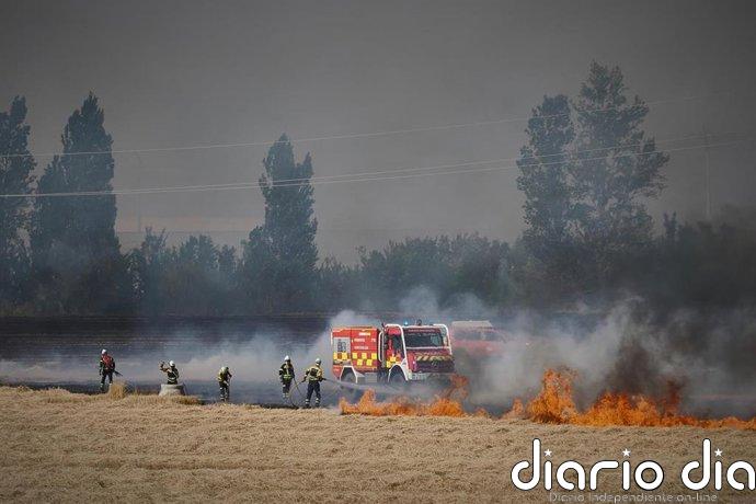 Estabilizado el incendio forestal en Imarcoain
