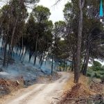 Estabilizado el incendio forestal en Rute (Córdoba)