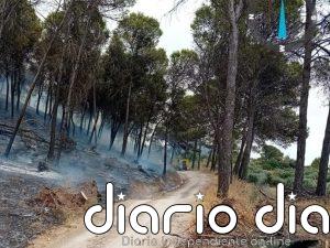 Estabilizado el incendio forestal en Rute (Córdoba)