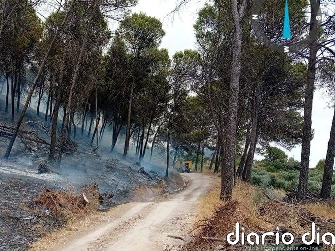Estabilizado el incendio forestal en Rute (Córdoba)