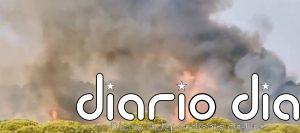 Estabilizado el incendio forestal próximo a Islantilla Golf en Lepe (Huelva) y el Infoca baja a situación operativa 0