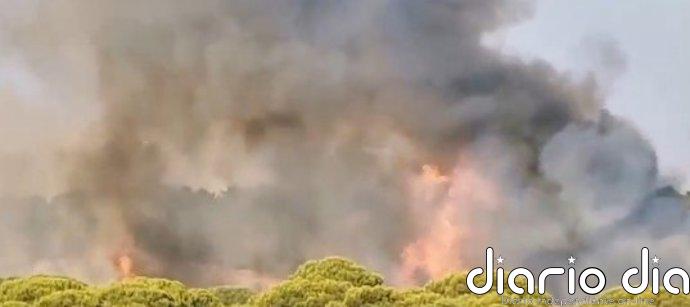 Estabilizado el incendio forestal próximo a Islantilla Golf en Lepe (Huelva) y el Infoca baja a situación operativa 0
