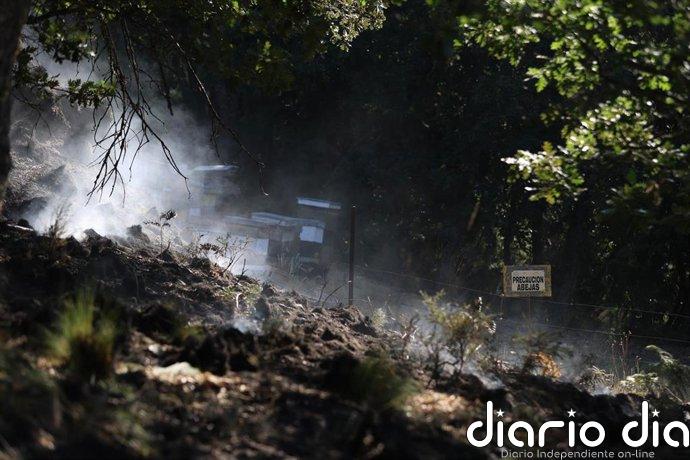 Estabilizados los incendios forestales de Murias de Ponjos y Quintela (León)