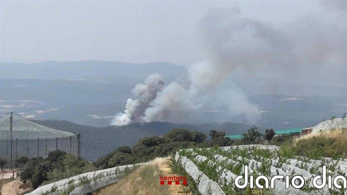 Estabilizan el incendio de Lladurs (Lleida)