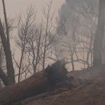 Euskadi envía 18 vehículos y 42 efectivos más para la extinción de los incendios de Madrid, Ávila y Toledo
