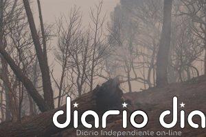 Euskadi envía 18 vehículos y 42 efectivos más para la extinción de los incendios de Madrid, Ávila y Toledo