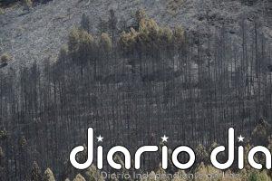 Evacúan tres pueblos más por el fuego de La Mierla y se decreta el confinamiento en Hiendelaencina