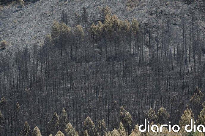 Evacúan tres pueblos más por el fuego de La Mierla y se decreta el confinamiento en Hiendelaencina