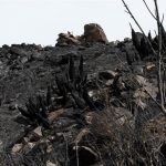 Extinguido el incendio de Los Gallardos (Almería) tras dos semanas con 13 fallecidos y 5.200 hectáreas calcinadas
