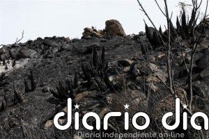Extinguido el incendio de Los Gallardos (Almería) tras dos semanas con 13 fallecidos y 5.200 hectáreas calcinadas