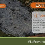 Extinguido el incendio declarado este viernes en Brazatortas (Ciudad Real)